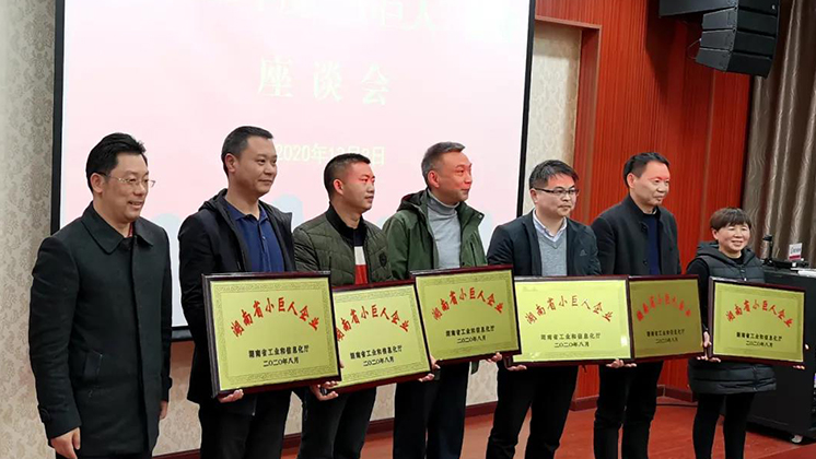 喜大普奔！炬神電子被評為湖南省“小巨人”企業(yè)